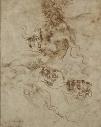 Studie eines sitzenden jungen Mannes, mit Kopfstudien, ca. 1502